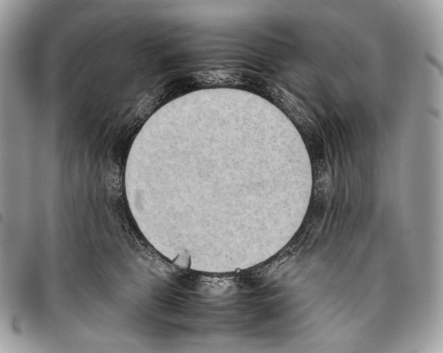 X0000095890469200802081121