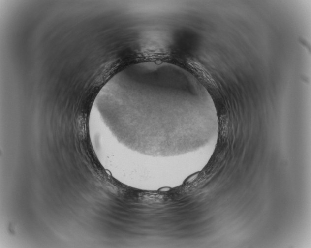 X0000095890471200802081121