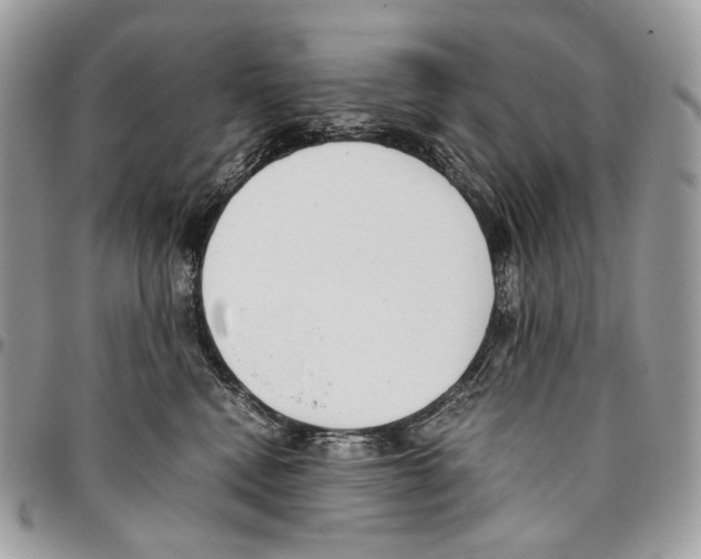 X0000095890472200802081121