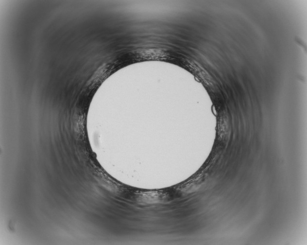 X0000095890473200802081121