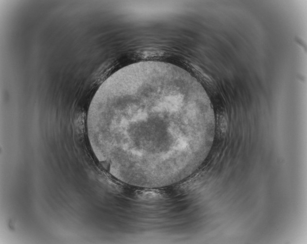 X0000095890475200802081121