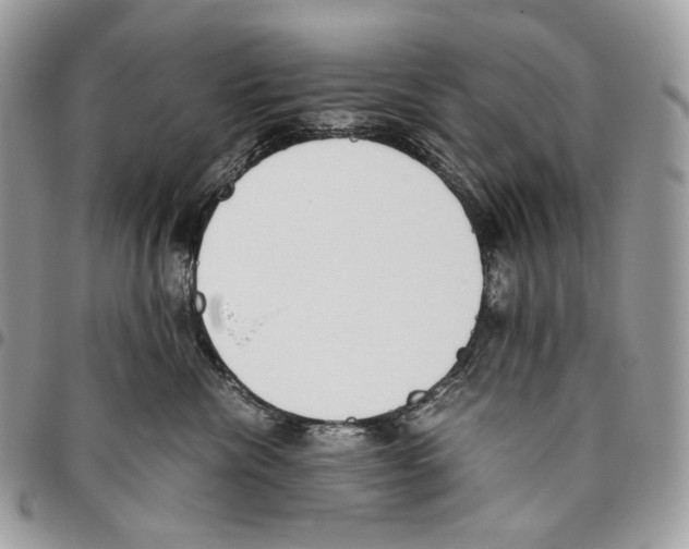 X0000095890476200802081121