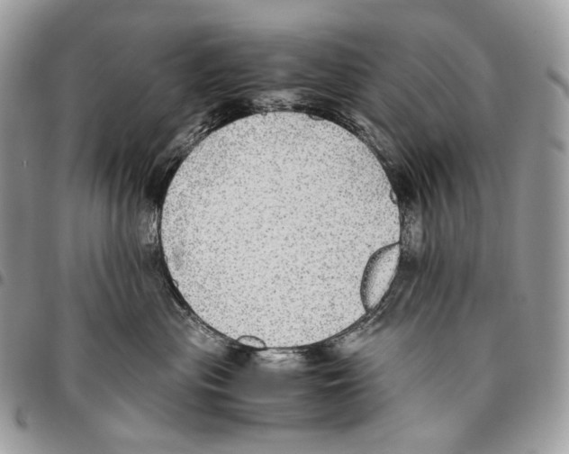 X0000095890477200802081122