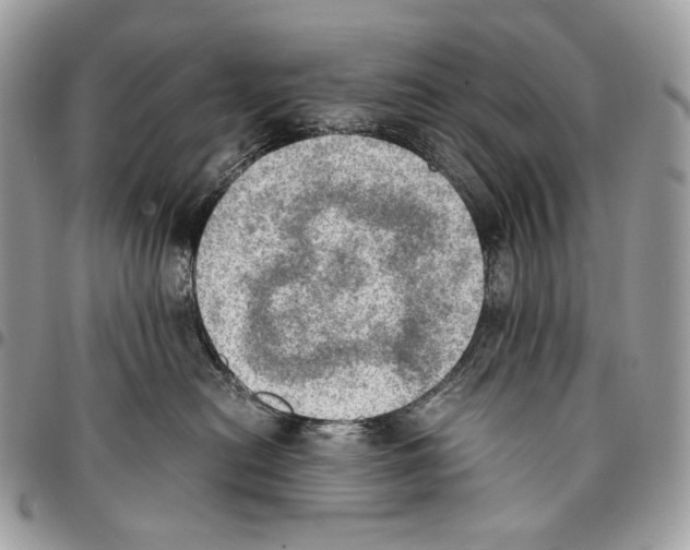 X0000095890478200802081122