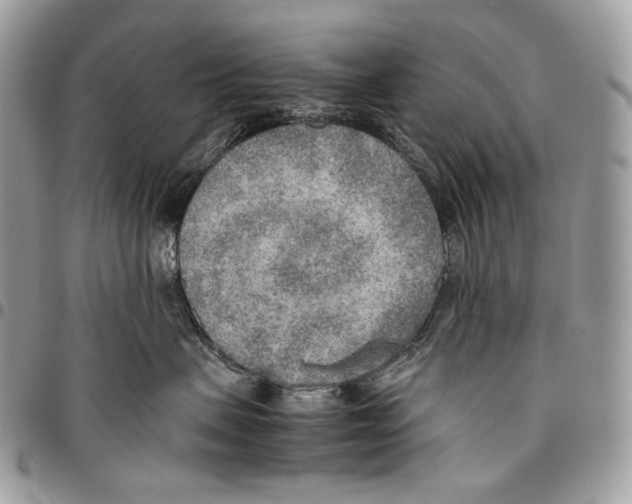 X0000095890479200802081122