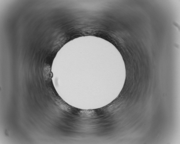 X0000095890480200802081122