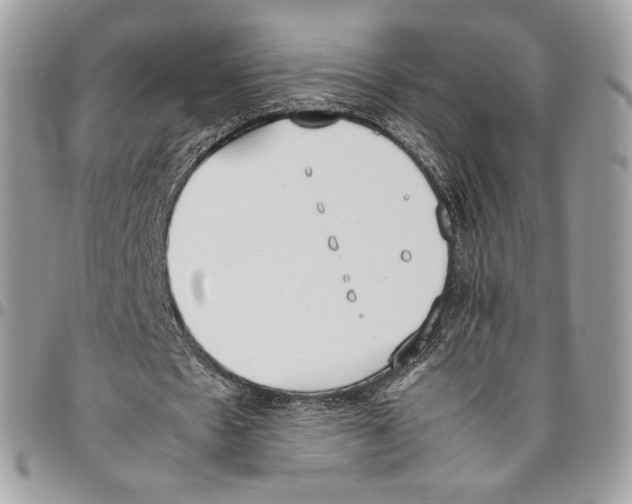 X0000095890481200802081121