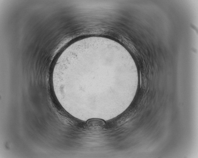 X0000095890483200802081121