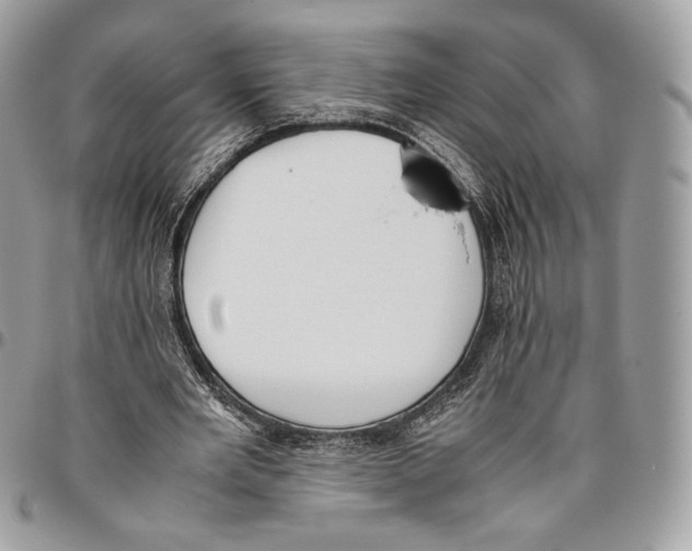 X0000095890485200802081121