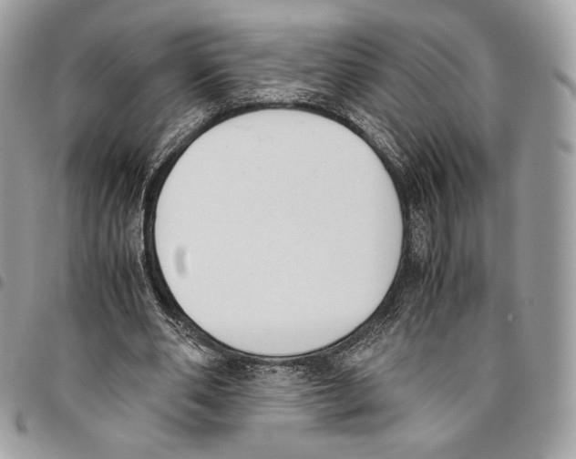 X0000095890486200802081121