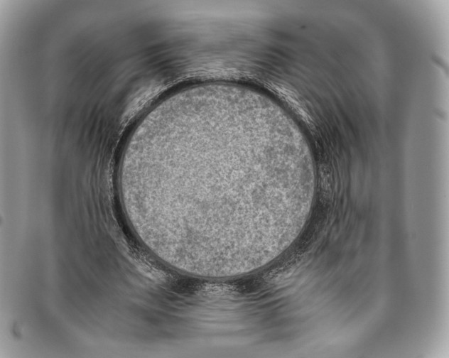 X0000095890487200802081121