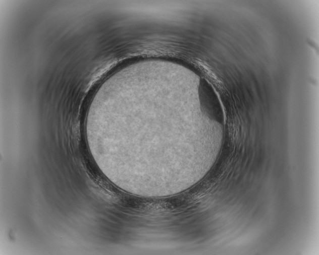 X0000095890488200802081121