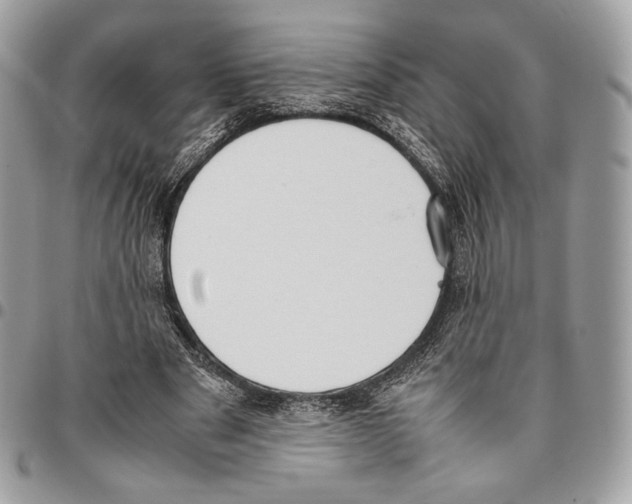 X0000095890489200802081121