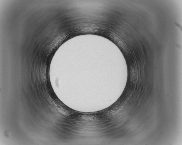 X0000095890490200802081121