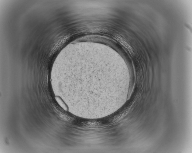 X0000095890493200802081121