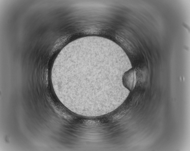 X0000095890494200802081121