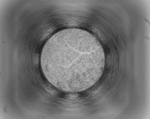 X0000095890495200802081121