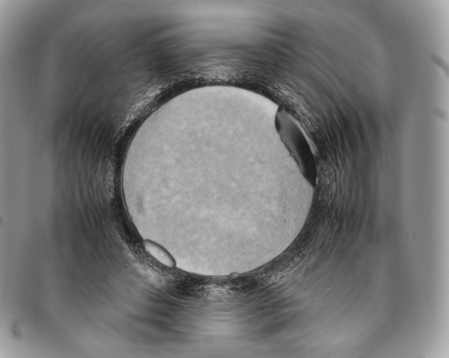 X0000095890496200802081121