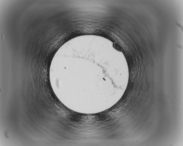 X0000095890497200802081120