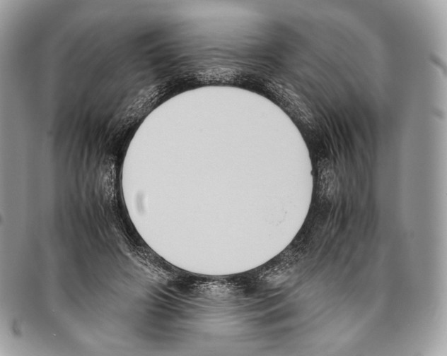 X0000095890498200802081120