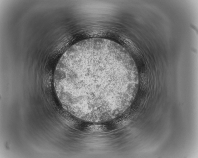 X0000095890499200802081120