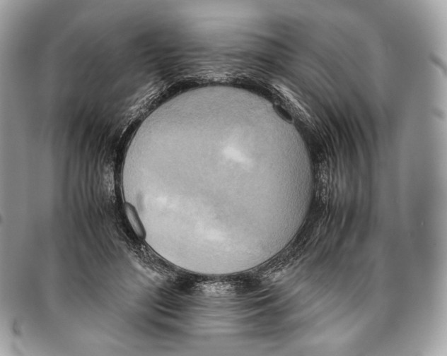 X0000095890500200802081120