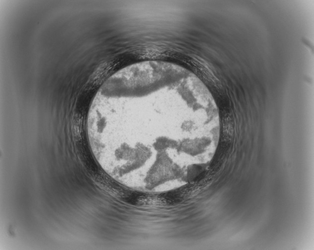 X0000095890503200802081120