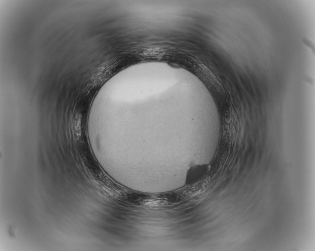 X0000095890504200802081120