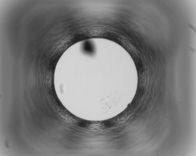 X0000095890505200802081120