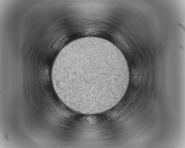 X0000095890506200802081120