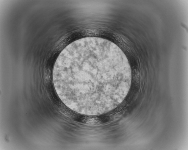 X0000095890507200802081120