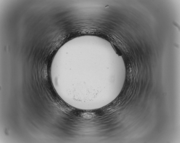 X0000095890508200802081120