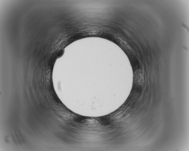 X0000095890509200802081120