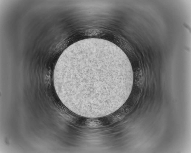 X0000095890510200802081120