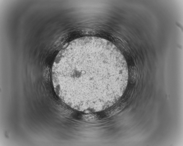 X0000095890511200802081120