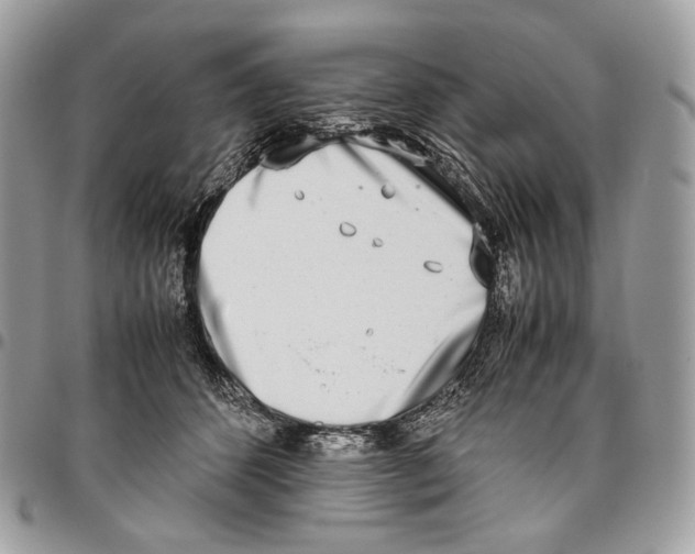 X0000095890512200802081120