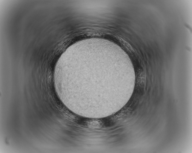 X0000095890513200802081120