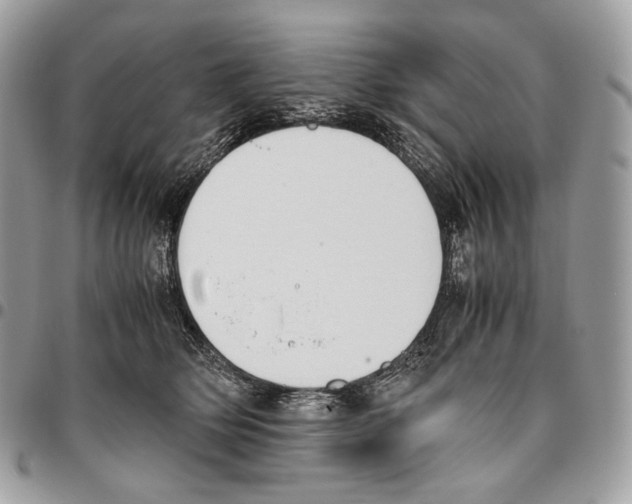 X0000095890514200802081120