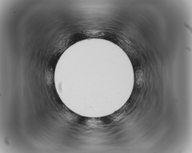 X0000095890515200802081120