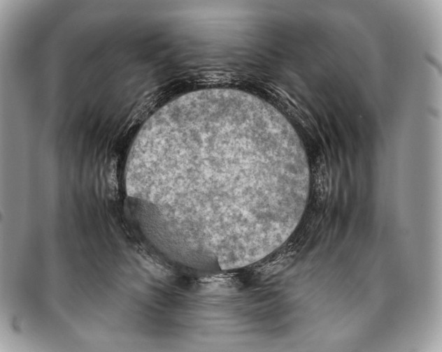 X0000095890516200802081120