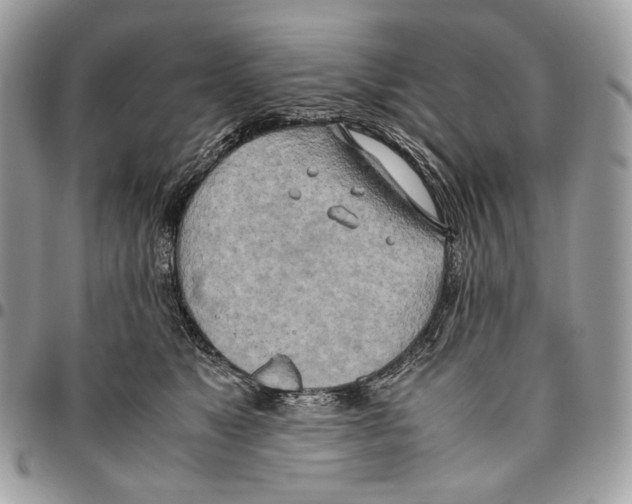 X0000095890517200802081120
