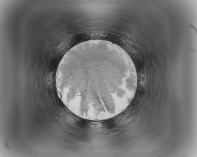 X0000095890519200802081120