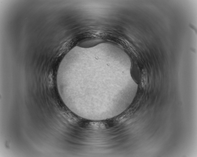 X0000095890520200802081120