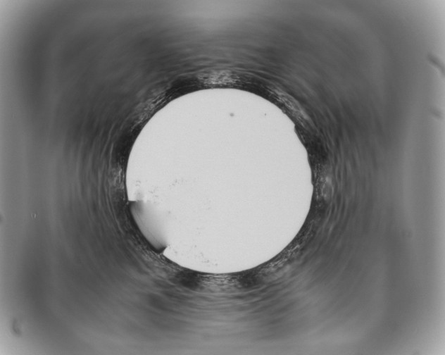 X0000095890521200802081120