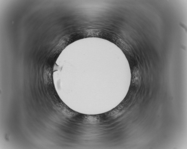 X0000095890522200802081120