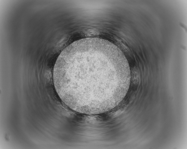 X0000095890523200802081120