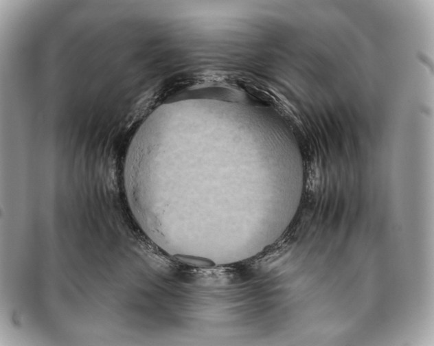 X0000095890524200802081120