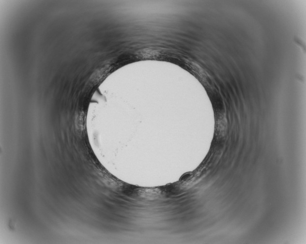 X0000095890525200802081120