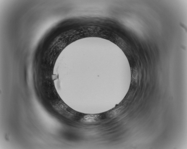 X0000095890526200802081120