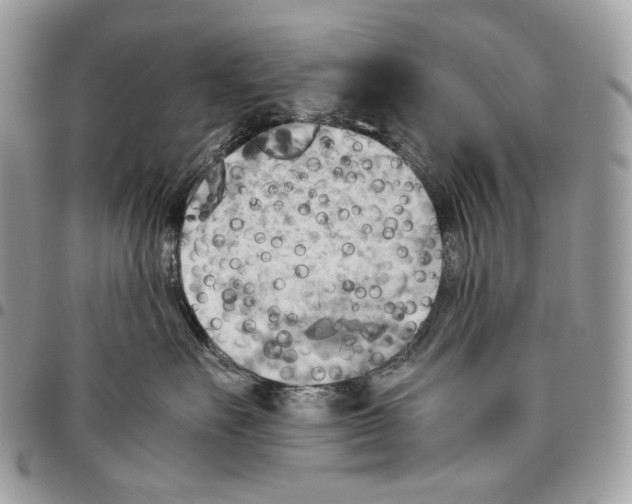 X0000095890527200802081120